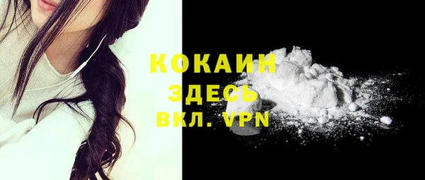 молекула духа Осташков