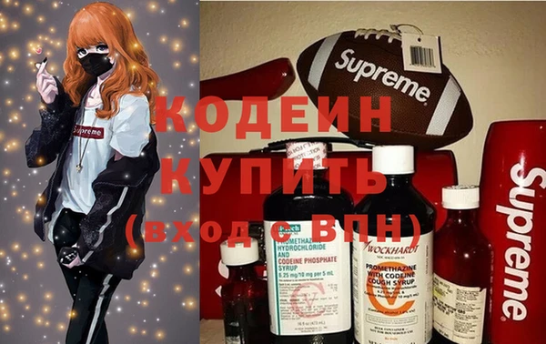 молекула духа Осташков