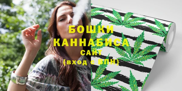 молекула духа Осташков