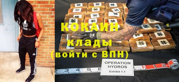 таблы Осинники